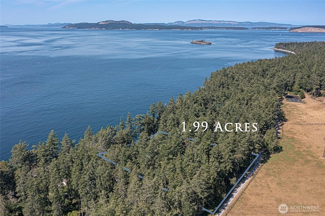 30 Smugglers Rowe, Henry Island, WA 98250 - aerial view of a water and mountain view