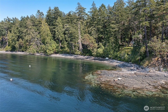 30 Smugglers Rowe, Henry Island, WA 98250 - water view with a heavily wooded area