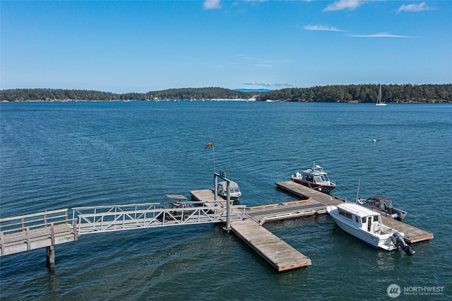30 Smugglers Rowe, Henry Island, WA 98250 - dock featuring a water view
