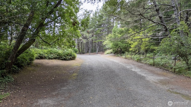 912 36th Ln, Seaview, WA 98644 - photo 37