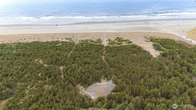 912 36th Ln, Seaview, WA 98644 - photo 39