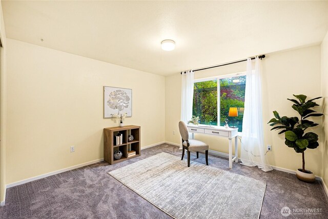 18514 71st St NW, Vaughn, WA 98394 - office space featuring carpet and baseboards