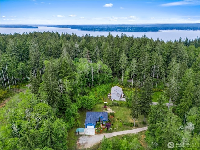 18514 71st St NW, Vaughn, WA 98394 - view of subject property with a forest and a nearby body of water