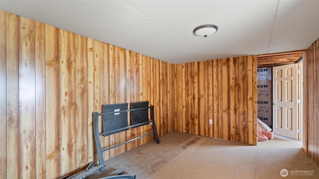 interior space with wooden walls