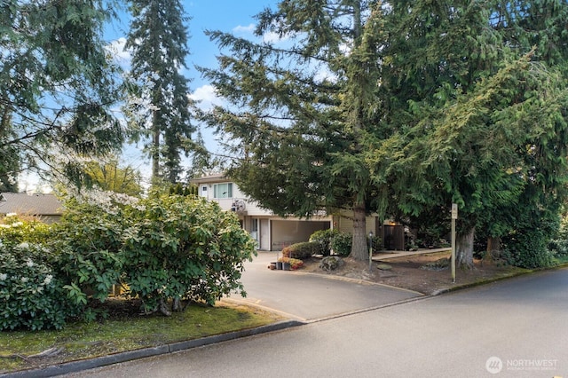 obstructed view of property with concrete driveway