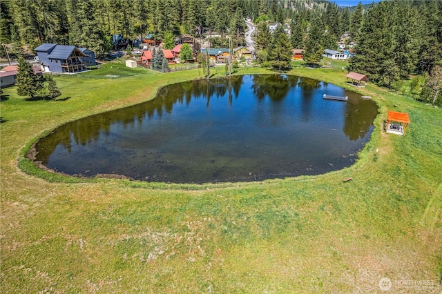 water view with a heavily wooded area