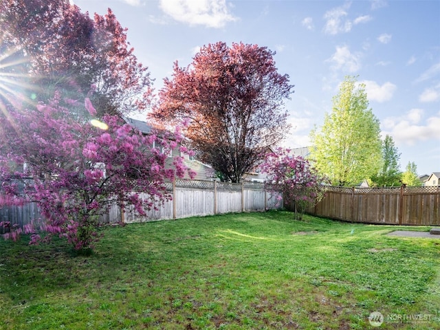 view of yard with a fenced backyard