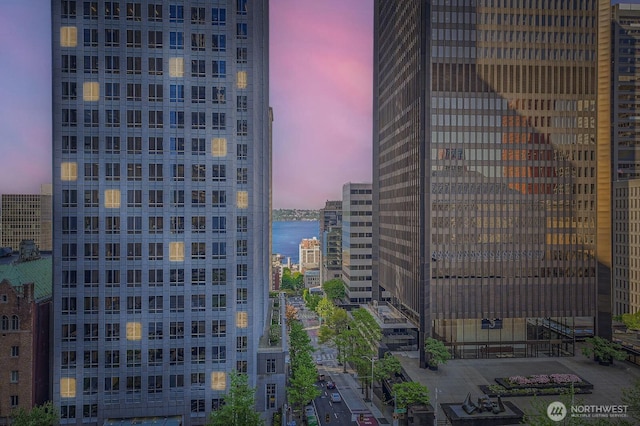 909 5th Ave Unit 701, Seattle, WA 98104 - property's view of city