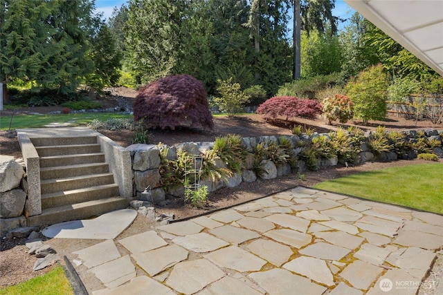 view of yard featuring a patio