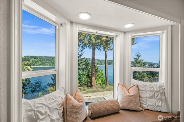 7295 Navajo Trl NE, Bremerton, WA 98311 - entryway featuring a water view and healthy amount of natural light