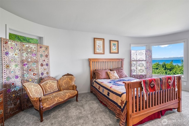 view of carpeted bedroom