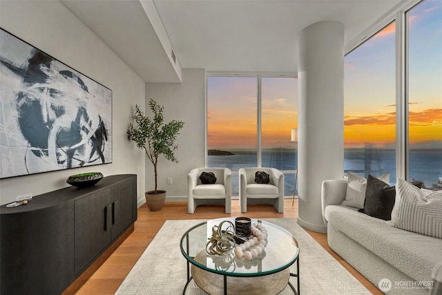 121 Stewart St Unit 2807, Seattle, WA 98101 - living area featuring light wood-style floors, a water view, a wall of windows, and plenty of natural light