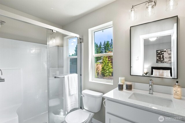 bathroom with vanity, a stall shower, and toilet