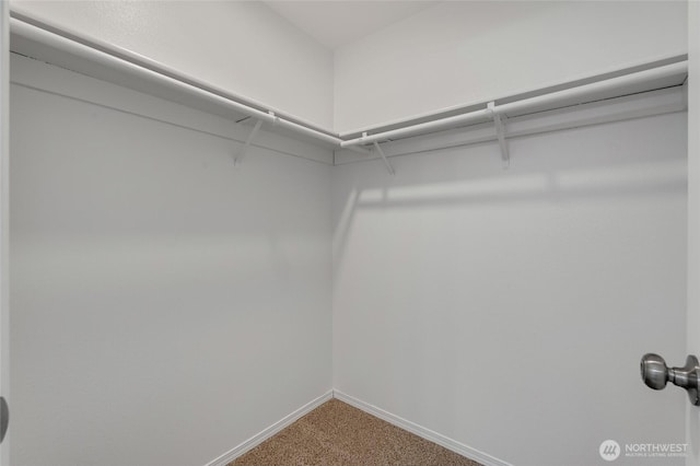 walk in closet with carpet