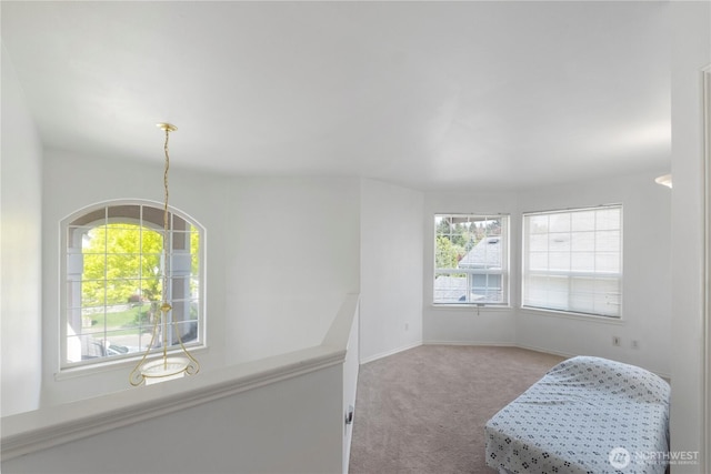 living area featuring baseboards and carpet floors