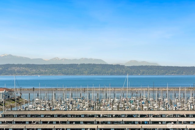 property view of water with a mountain view