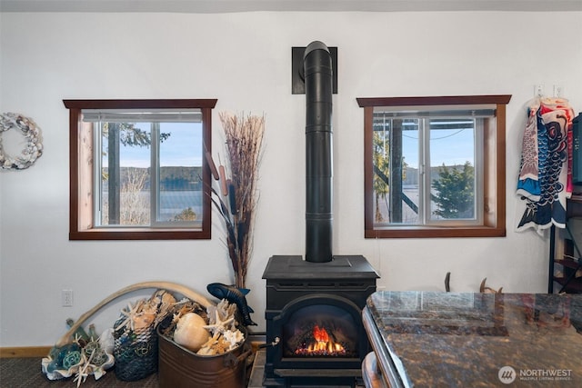 51 N Old Mill Hill Rd, Hoodsport, WA 98548 - detailed view of a wood stove