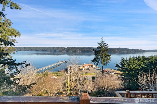 51 N Old Mill Hill Rd, Hoodsport, WA 98548 - water view