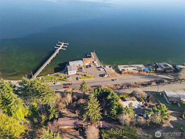 51 N Old Mill Hill Rd, Hoodsport, WA 98548 - aerial overview of property's location