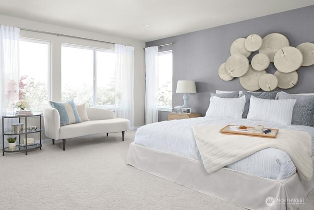 bedroom with carpet flooring