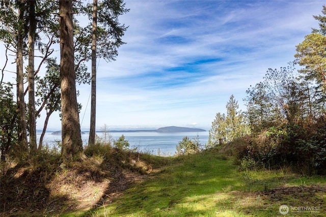 87 Conifer Ln, Friday Harbor, WA 98250