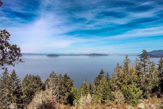 87 Conifer Ln, Friday Harbor, WA 98250