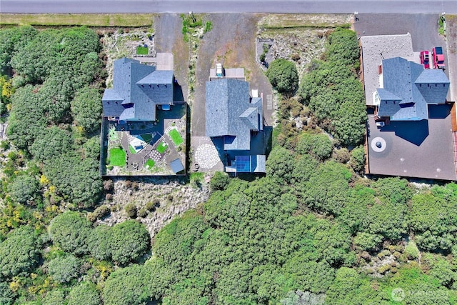 1160 Greenview Ave SW, Ocean Shores, WA 98569 - aerial overview of property's location