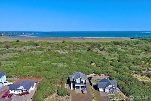 1160 Greenview Ave SW, Ocean Shores, WA 98569 - aerial view of a heavily wooded area and a nearby body of water