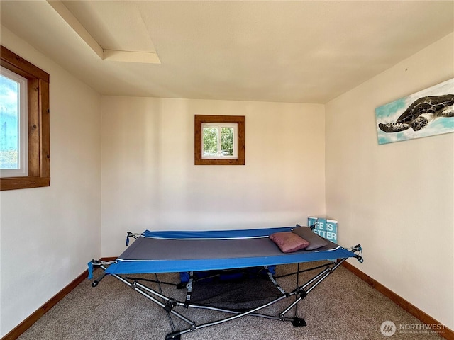 1160 Greenview Ave SW, Ocean Shores, WA 98569 - rec room with baseboards, healthy amount of natural light, and carpet floors