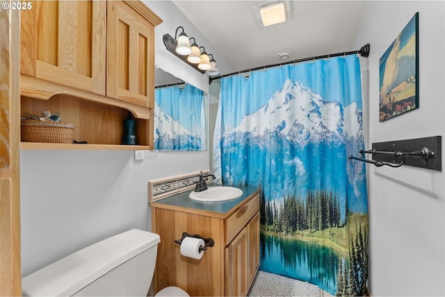 bathroom with toilet and vanity
