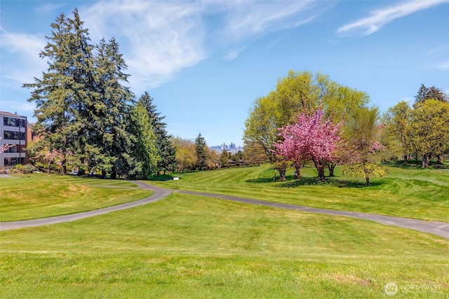 view of community featuring a yard