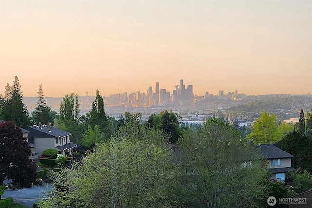 10911D Glen Acres Dr S, Seattle, WA 98168 - view of city
