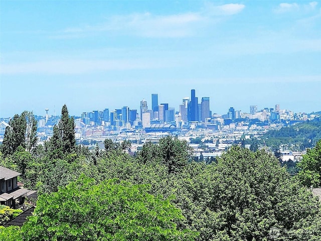 10911D Glen Acres Dr S, Seattle, WA 98168 - view of city skyline