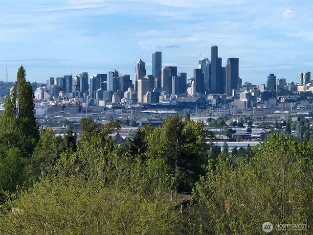 10911D Glen Acres Dr S, Seattle, WA 98168 - view of city skyline