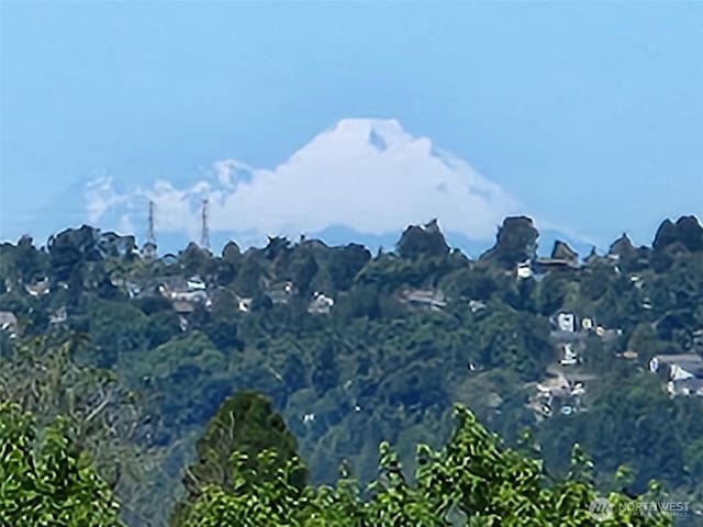 10911D Glen Acres Dr S, Seattle, WA 98168 - view of mountain backdrop