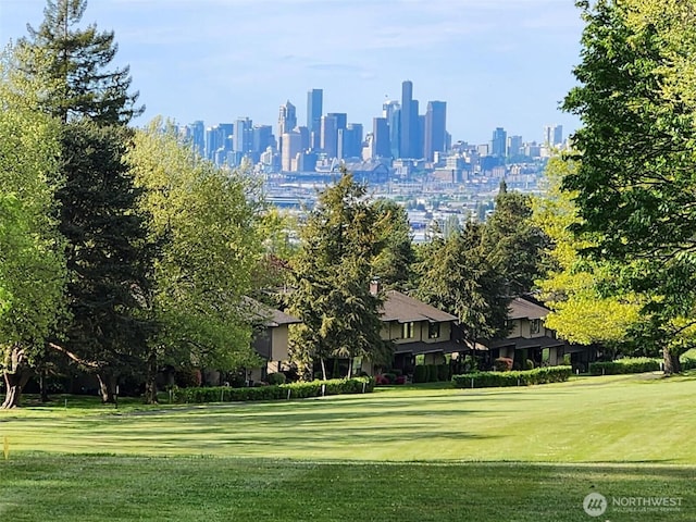 10911D Glen Acres Dr S, Seattle, WA 98168 - view of community featuring a lawn and a view of skyline