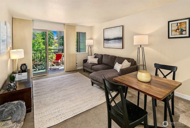 living area featuring baseboards and carpet flooring