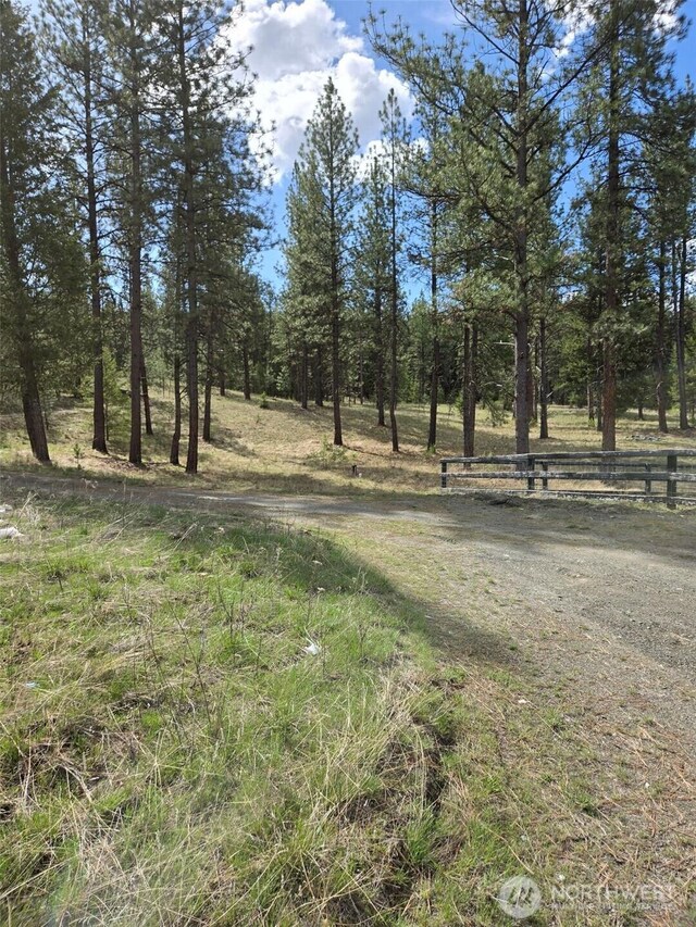 117 Squirrel Rd, Tonasket, WA 98855 - photo 12