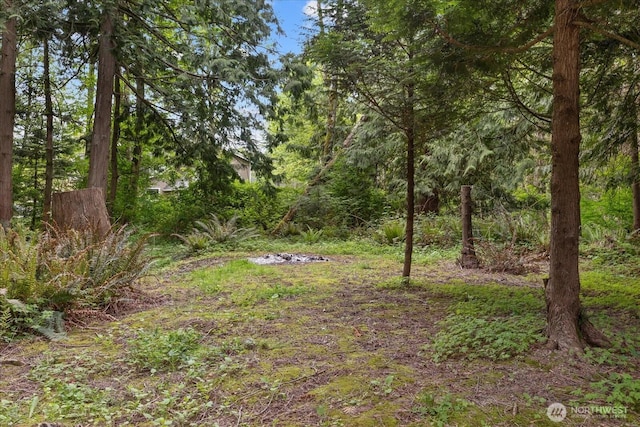 1321 E Smith Rd, Bellingham, WA 98226 - view of yard