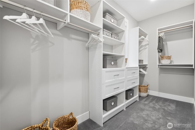 spacious closet with dark colored carpet