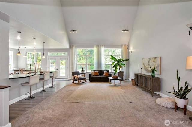 living room with baseboards, wood finished floors, and a towering ceiling