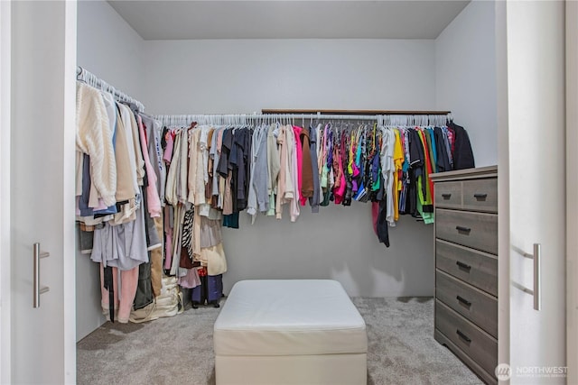 spacious closet with carpet flooring