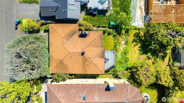 drone / aerial view