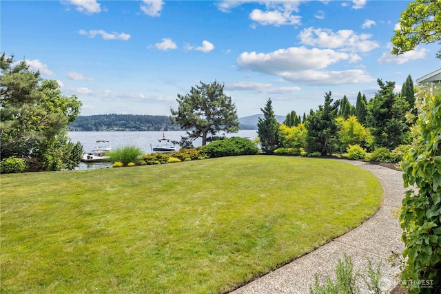 view of yard with a water view