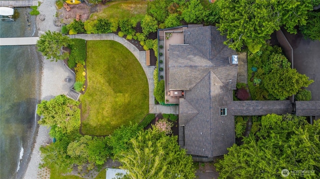 aerial view