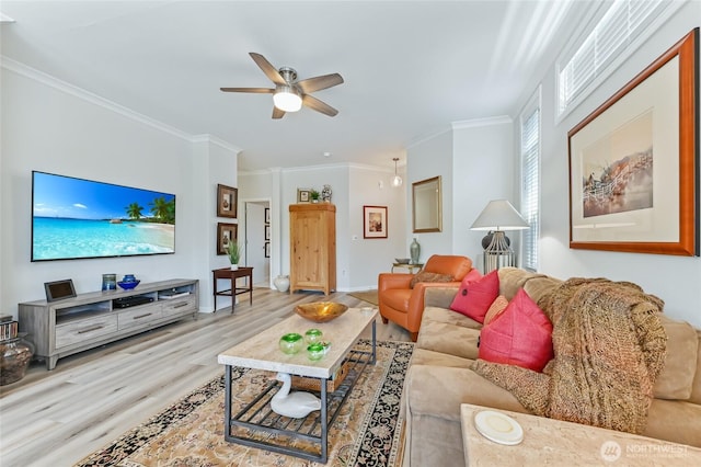 living room featuring crown molding, a ceiling fan, and wood finished floors
