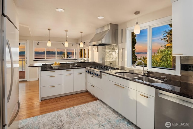kitchen featuring appliances with stainless steel finishes, range hood, a sink, white cabinetry, and tasteful backsplash