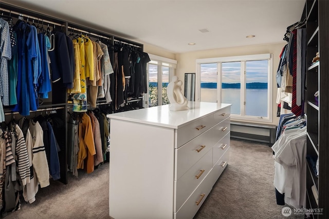 spacious closet with carpet floors