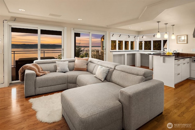 living room with light wood-style floors, recessed lighting, and healthy amount of natural light