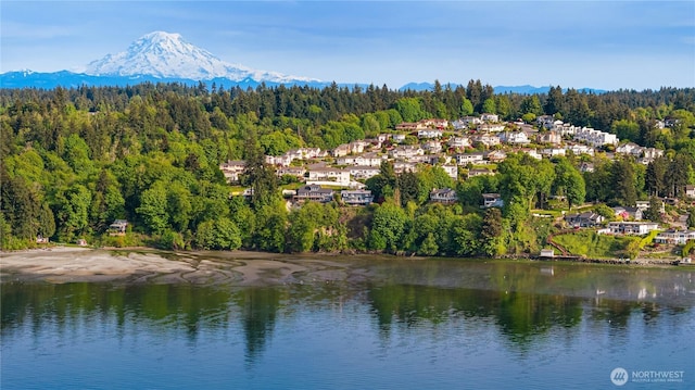 aerial perspective of suburban area with a heavily wooded area and a water and mountain view